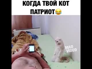 Когда у тебя кот патриот