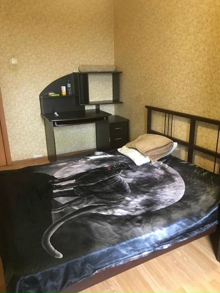 Сдаётся комната <br>Без залога <br>Без депозита <br>На долгий срок <br>Комната большая 18 квадратных метров. <br>В квартире есть все для проживания стиральная машина, микроволновая печь , комфорка Wi-Fi. <br>Раздельный санузел. <br>М. Новокосино <br>Цена 18.000 и все - фото Фото: Сдаётся комната <br>Без залога <br>Без депозита <br>На долгий срок <br>Комната большая 18 квадратных метров. <br>В квартире есть все для проживания стиральная машина, микроволновая печь , комфорка Wi-Fi. <br>Раздельный санузел. <br>М. Новокосино <br>Цена 18.000 и все
