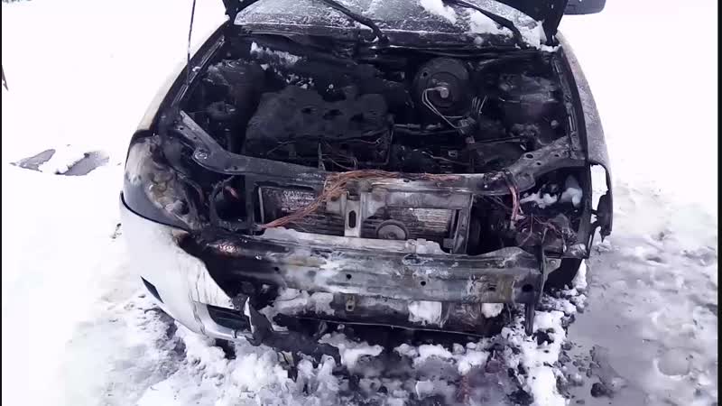 коза в Приоре....