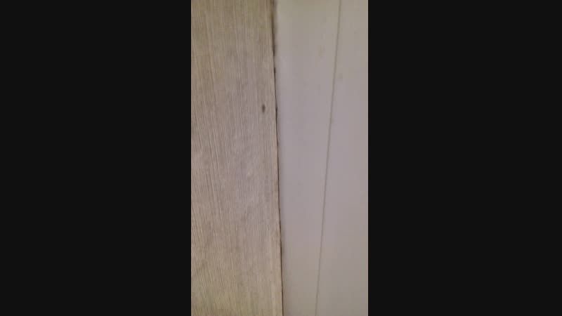 20190131_201355.mp4