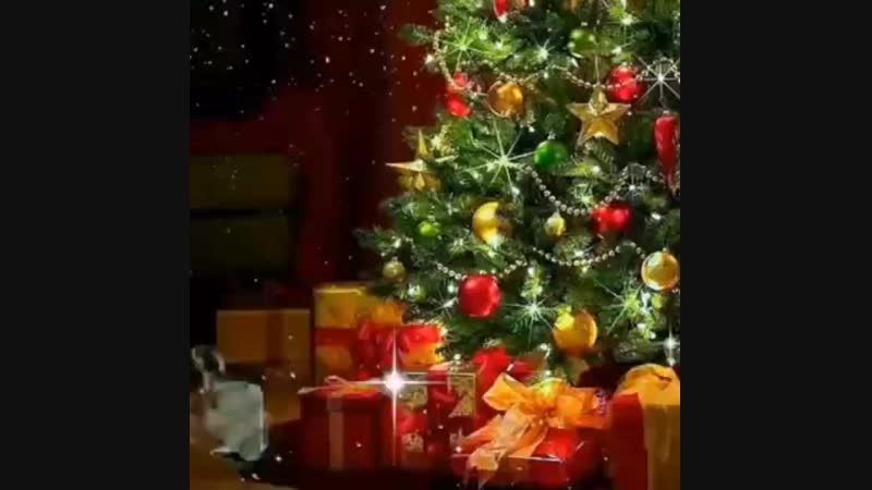 VID_20170901_015747_432.mp4