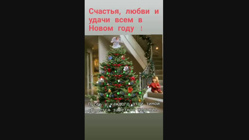 VID_24480610_161115_957.mp4