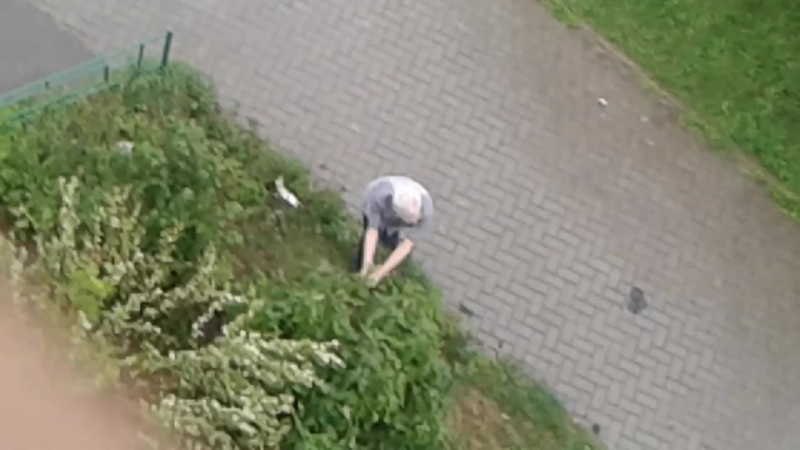 Ded_paket