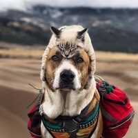 Елена Хрусталева