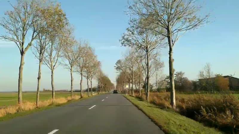 VID_20181103_150516.mp4