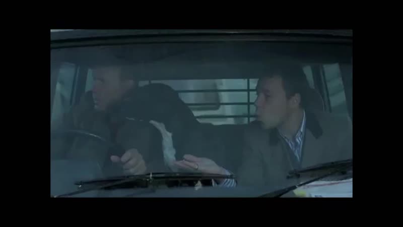 Хороший песик