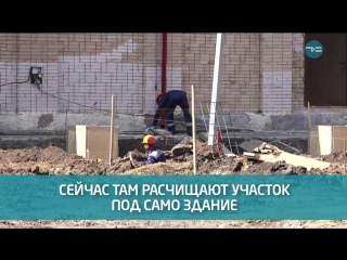 Спорткомплекс и деревья