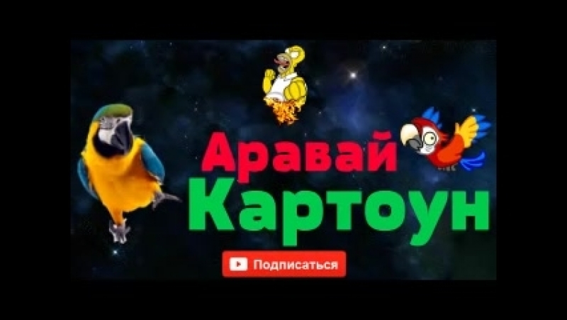 _Пранкота_ Аравай Картоун