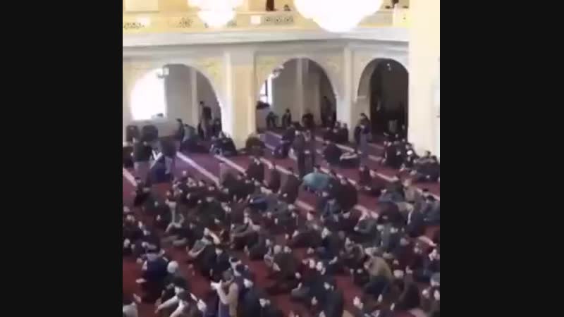 Салам далар Хьехам