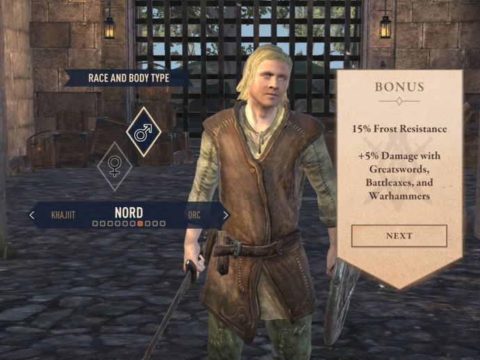 Норды в The Elder Scrolls Blades