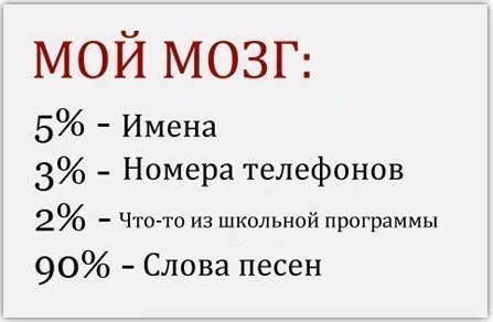 Интересные факты о человеческом мозге 