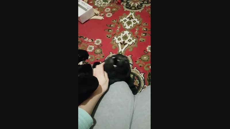 20190131_201335.mp4
