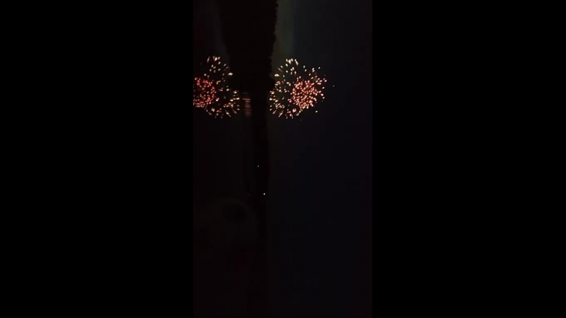 LYSVA SALUTE