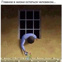 Казанова Казанова