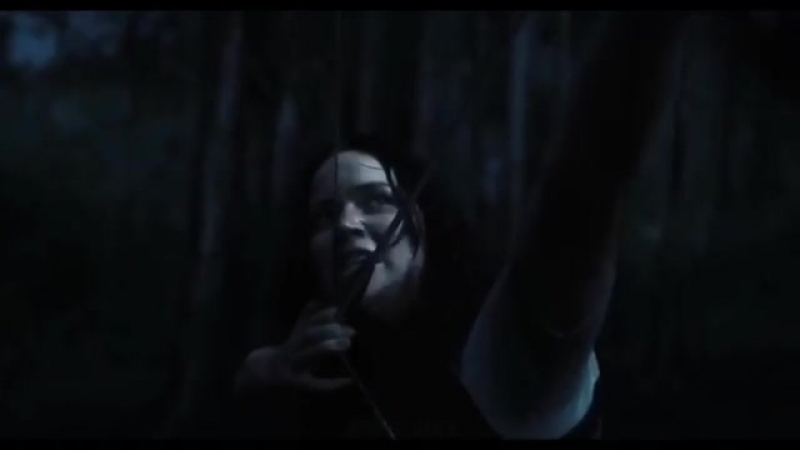Thg vine