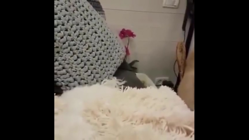 VID-20180809-WA0002.mp4