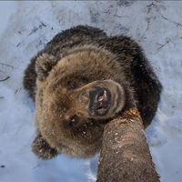 Александр Бабин
