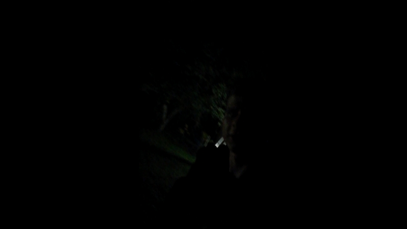 1534457637482.mp4