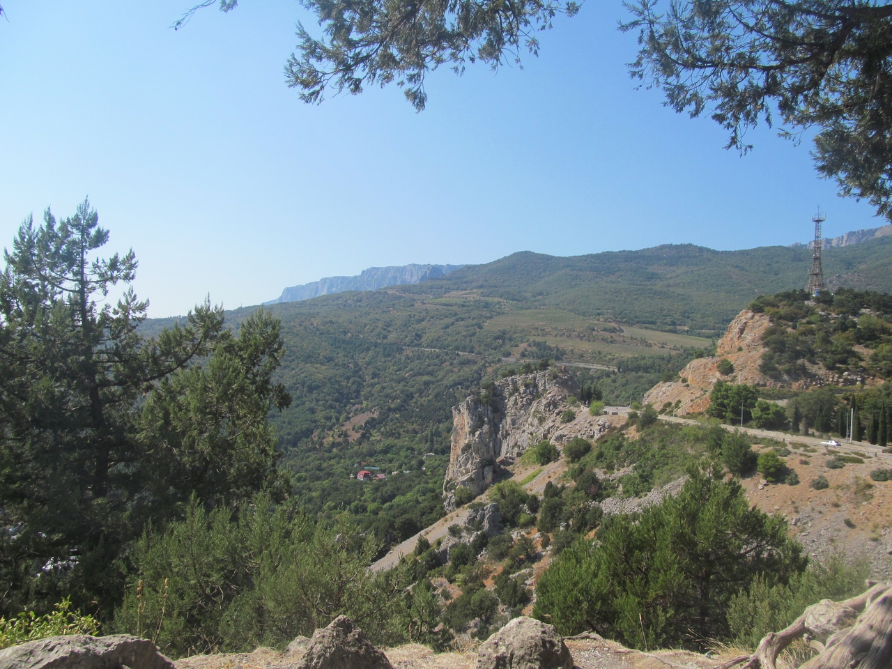 Дачи петровичи. Дача петровичи алупка.