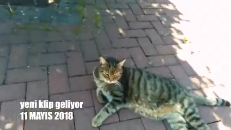 Yeni kilp geliyor❤️