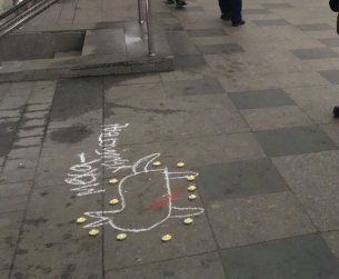 Защитники животных отметили в Петербурге Всемирную антимеховую пятницу Worldwide Fur Free Friday