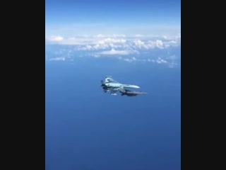 Российский Су-27 жестко отогнал истребитель НАТО