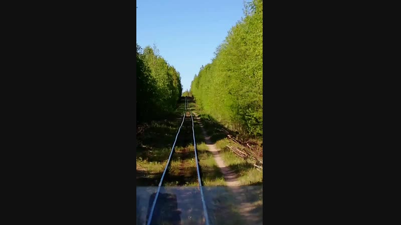 VID_20180603_151847.mp4.mp4