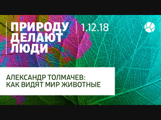 Александр Толмачев: как видят мир животные
