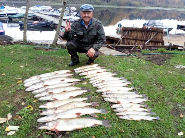 Рыбалка — Рыбинское водохранилище, Вологодская область, 59.011, 37.948
