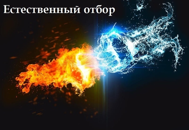 естественный отбор пролог 23 мая 2023 года г. москва аэропорт шереметьево-2 12:00 по-местному «готов исполнить истинное предназначение» голос в голове максима дал о себе знать, как только он