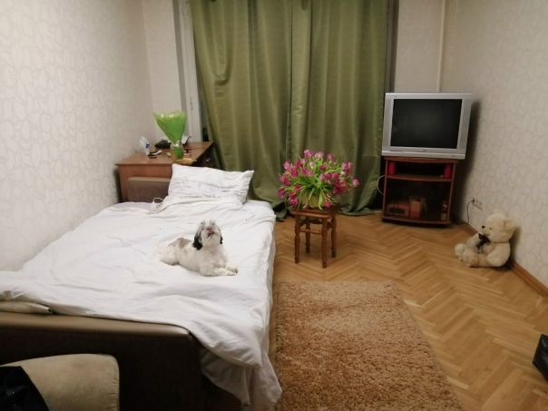 СРОЧНО!!!Срочно ищем девушку на поселение в просторную уютную комнату 2х комнатной квартиру. Все в отличном состоянии, 10 минут от метро Сходненская или Планерная! В первой комнате живет одна тихая, спокойная девушка. Во второй проживают 2 девушки, с мая одна уедет! На ее место нужен как раз человек. Въезд в любое время! Оплата 8000 первый месяц+депозит 10000(можно частями в теч месяца)! С мая оплата 10000+коммуналка ! Номер для связи 89031490222 Наталья или пишите в личку!<br>А лучше подъезжайте сразу на осмотр и по факту все обсудим! - фото Фото: СРОЧНО!!!Срочно ищем девушку на поселение в просторную уютную комнату 2х комнатной квартиру. Все в отличном состоянии, 10 минут от метро Сходненская или Планерная! В первой комнате живет одна тихая, спокойная девушка. Во второй проживают 2 девушки, с мая одна уедет! На ее место нужен как раз человек. Въезд в любое время! Оплата 8000 первый месяц+депозит 10000(можно частями в теч месяца)! С мая оплата 10000+коммуналка ! Номер для связи 89031490222 Наталья или пишите в личку!<br>А лучше подъезжайте сразу на осмотр и по факту все обсудим!