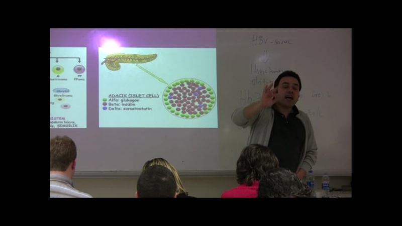 Ersan gastro 16