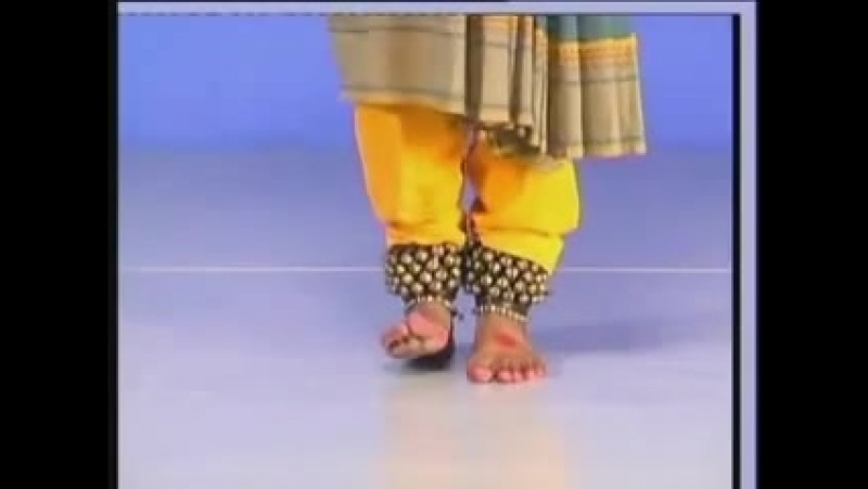 Pada bhedas