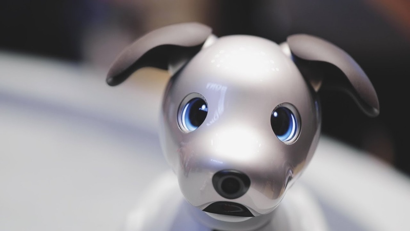 Sony Aibo AI