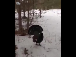Пошёл вон!