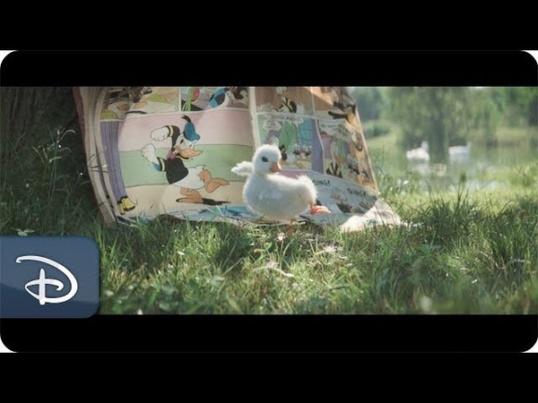 Disney Duck | Disney Parks