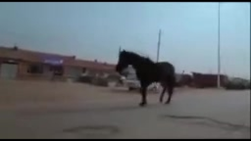 До слёз