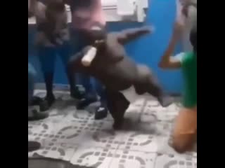Вот так малыш (VHS Video)