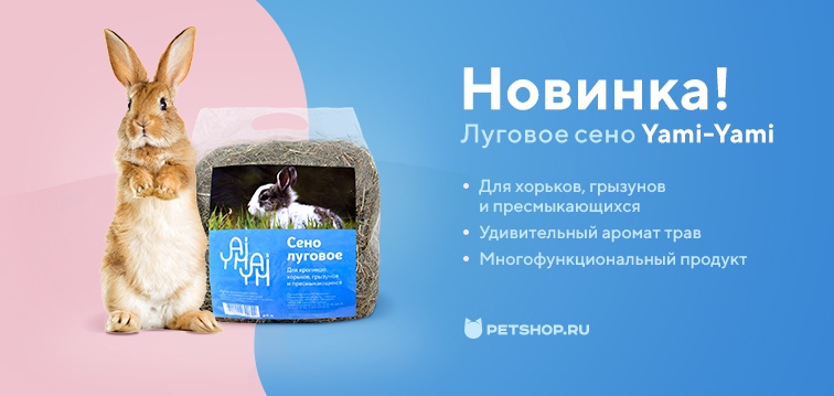 Petshop Интернет Магазин Промокод