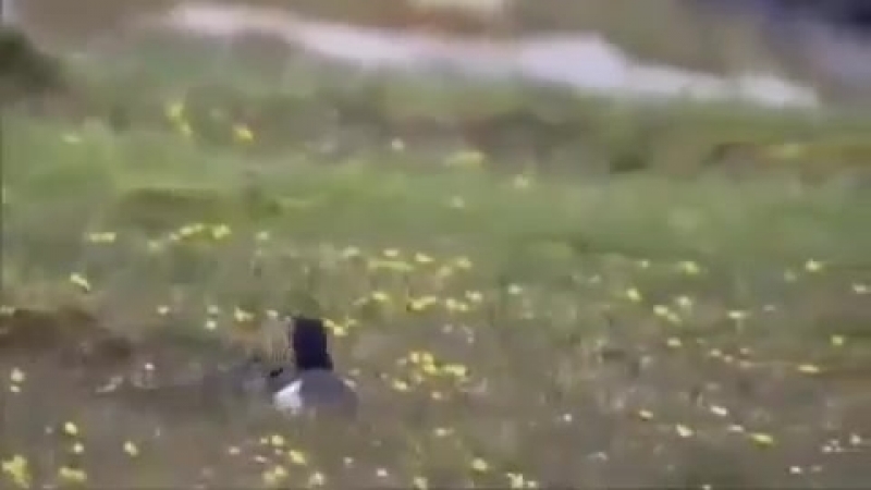 напился😂😂😂😂Понедельник😂😂😂