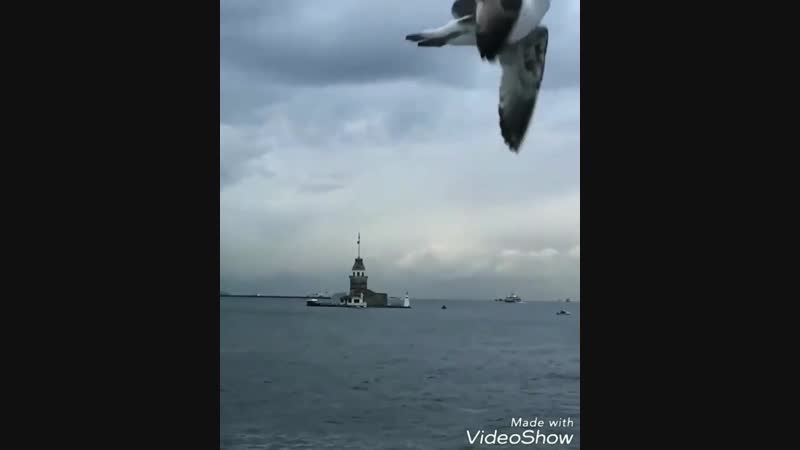 Мейрамбек Бесбаев 💙