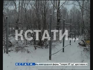 Забор, ставший биологическим оружием, украли жулики в Большемурашкинском районе