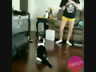 Смертельная Битва