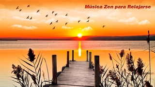 Música Zen para Relajarse con Sonidos de la Naturaleza para limpiar el Alma: Música de Meditación