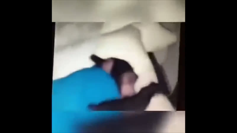 Арман