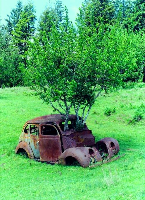 X565NkNw6Yo.jpg