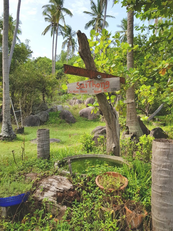 Дождливый июль в солнечном Таиланде