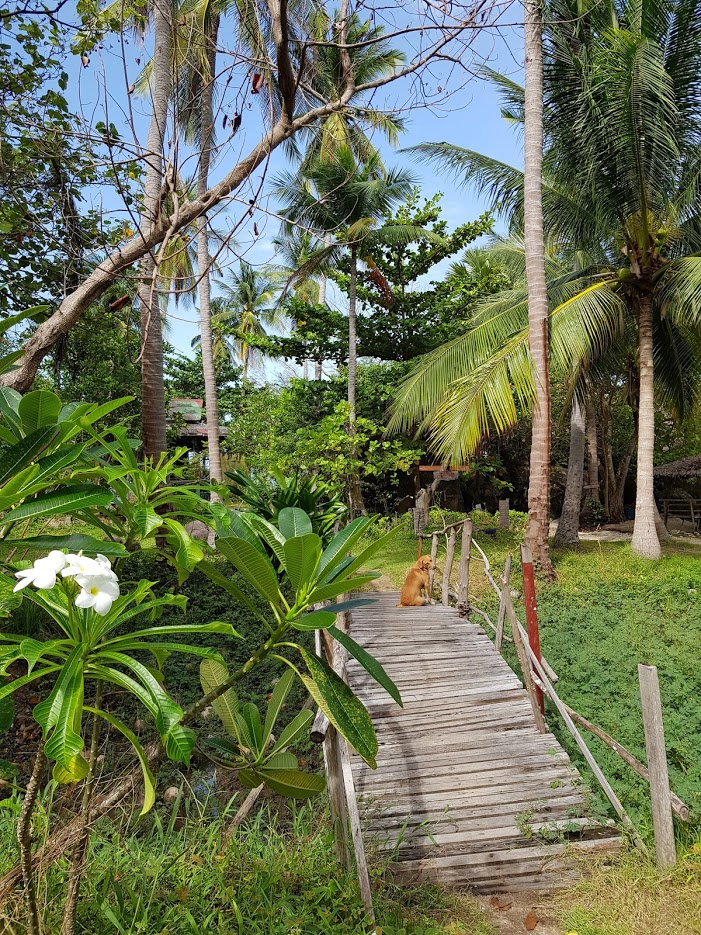 Дождливый июль в солнечном Таиланде