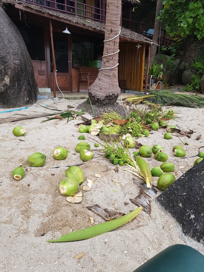 Дождливый июль в солнечном Таиланде