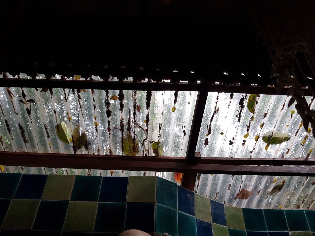 Дождливый июль в солнечном Таиланде